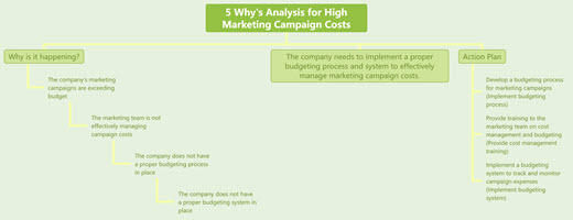 5 Why's Analysis for High Marketing Campaign Costs