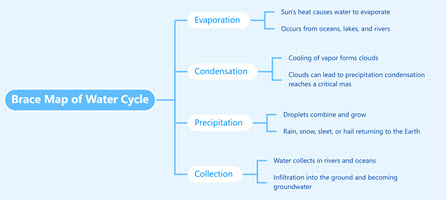 Brace Map of Water Cycle