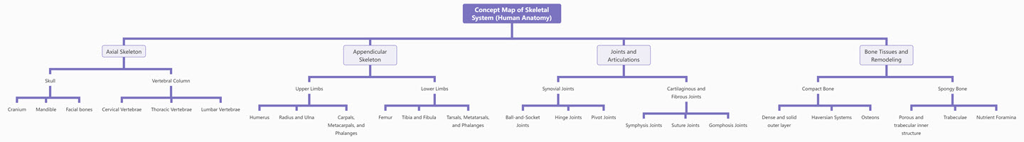 Concept Map of Skeletal System (Human Anatomy)