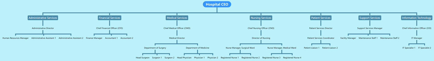 Organizational Chart of Hospital