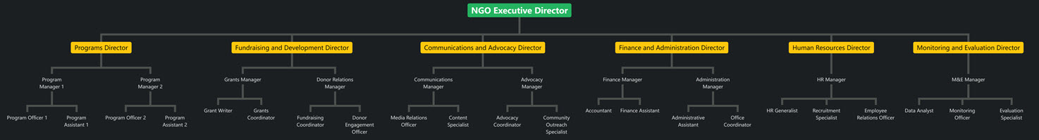 Organizational Chart of NGO Programs Director
