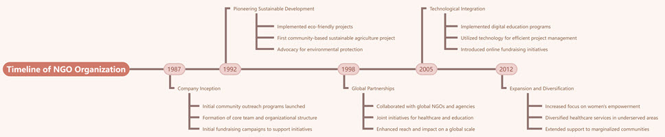 Timeline of NGO Organization