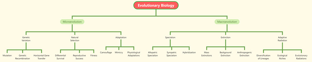 Tree Chart of Evolutionary Biology
